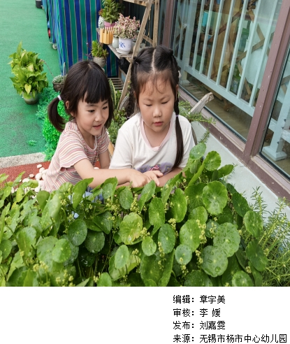 自然角的泡泡